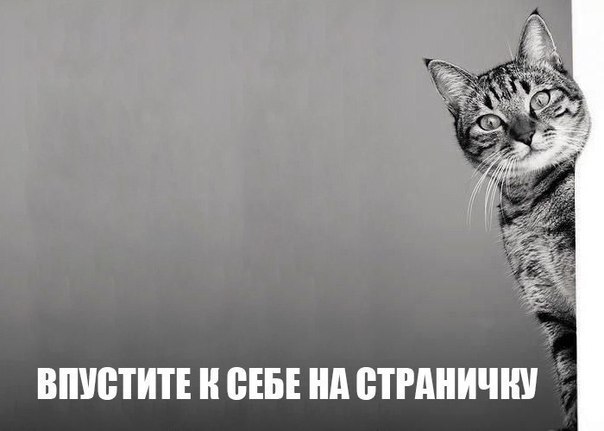    - 10  2017  11:14
