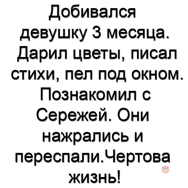   - 17  2017  03:53
