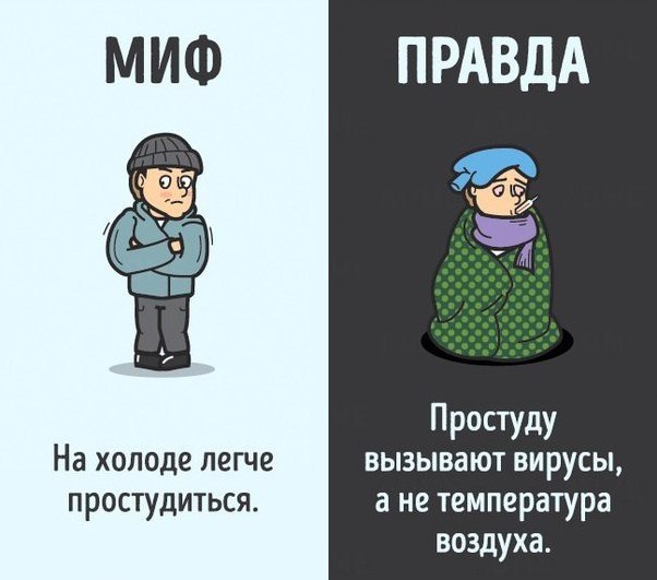10    ,   . #@rules4life - 5