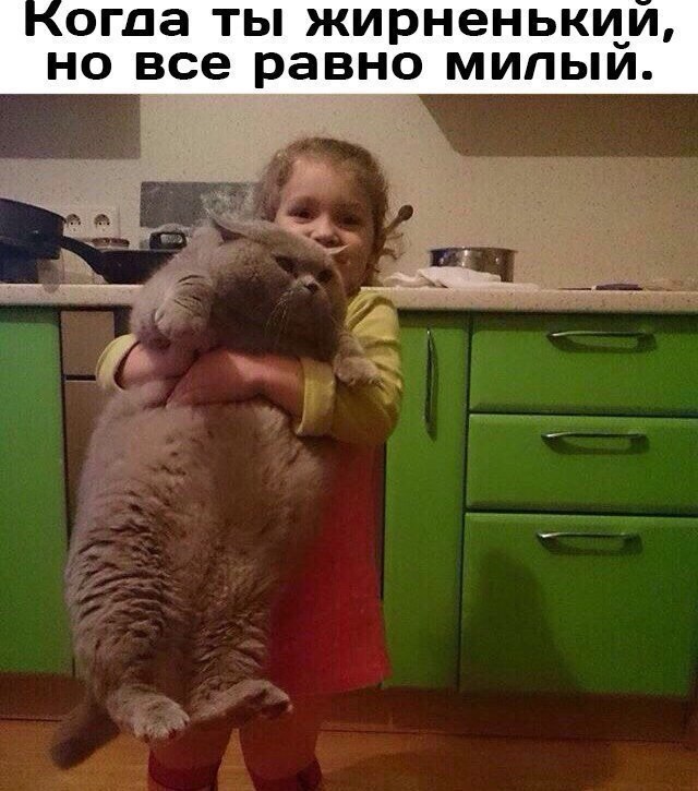  , !() - 31  2017  16:16