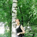 ��� 2017 �� ������� ���� ����������