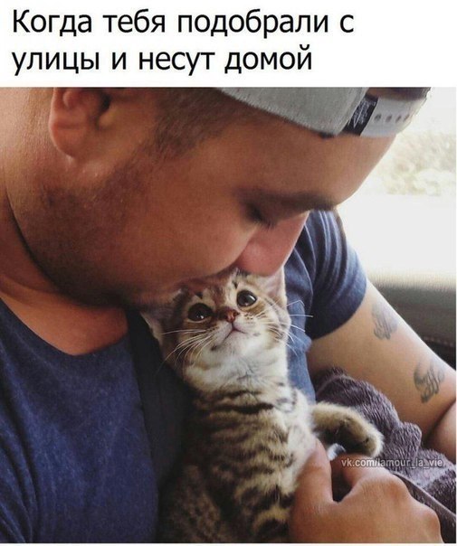 , , , ,  - 11  2017  13:58