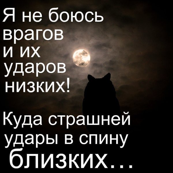 Обычно удар в спину получаешь от того,кого закрываешь грудью... - 2