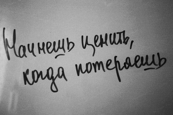  - 8  2017  13:56