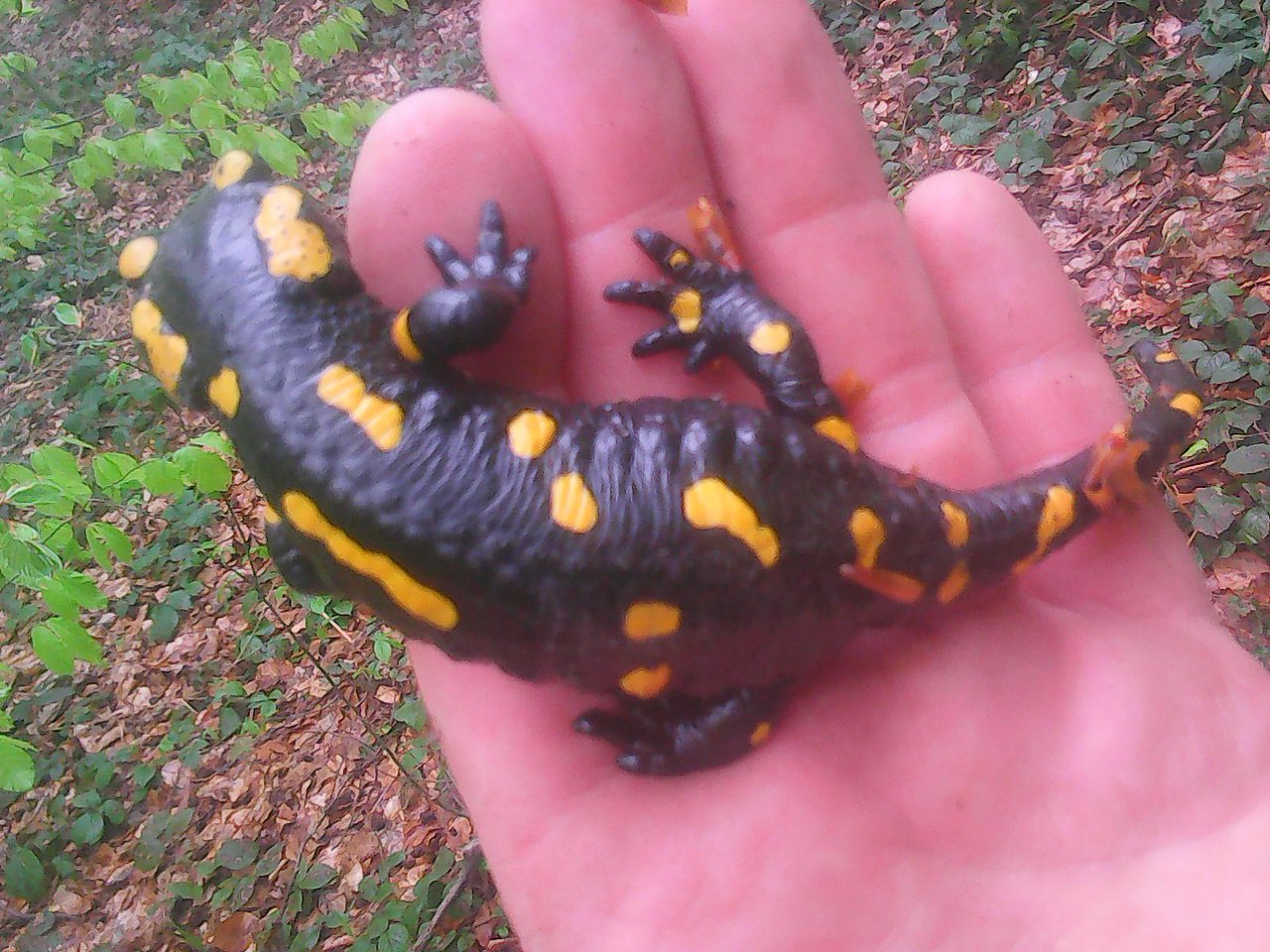   - 16  2017  09:13 - 3