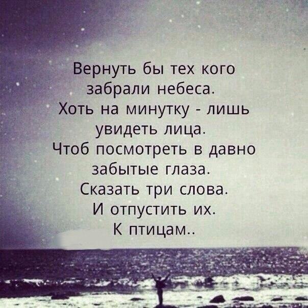   -  ,  -  - 20  2017  17:54