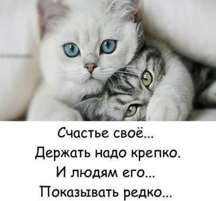 )))