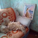      ))))))))))))))   Ҹ...