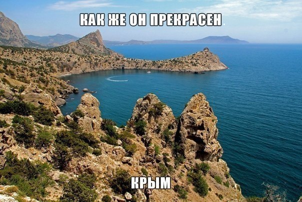   - 1  2017  17:03