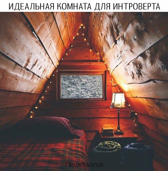  - 11  2017  21:47