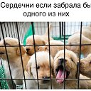  S/w/a/t,  -  15  2017    