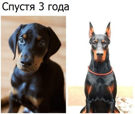   - 30  2017  13:44