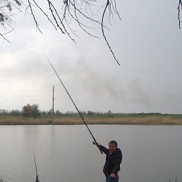 ���������, ���������, 48 ���