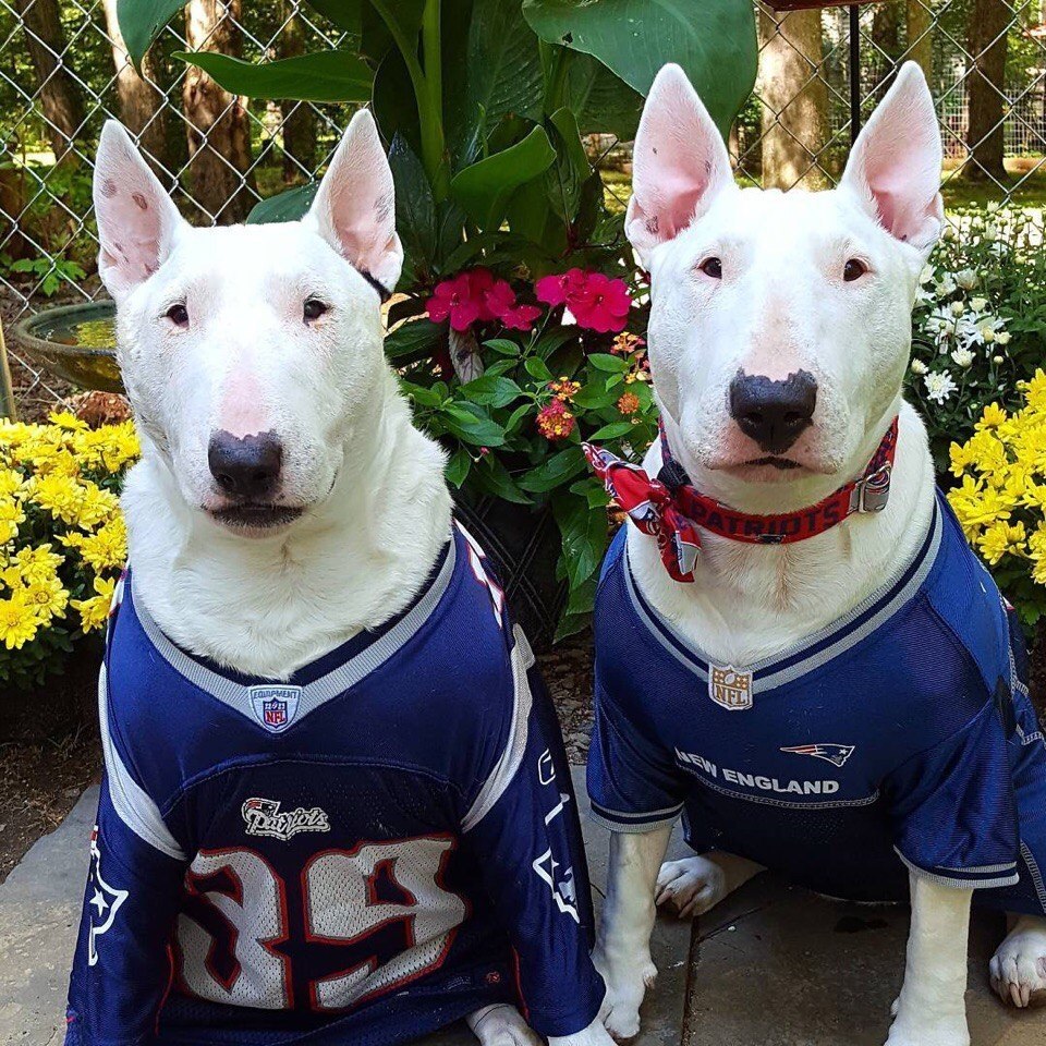 Сладкая парочка твикс.Бодрого всем понедельника) - 4