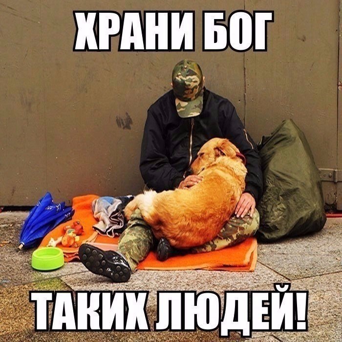   -   - 8  2017  17:03