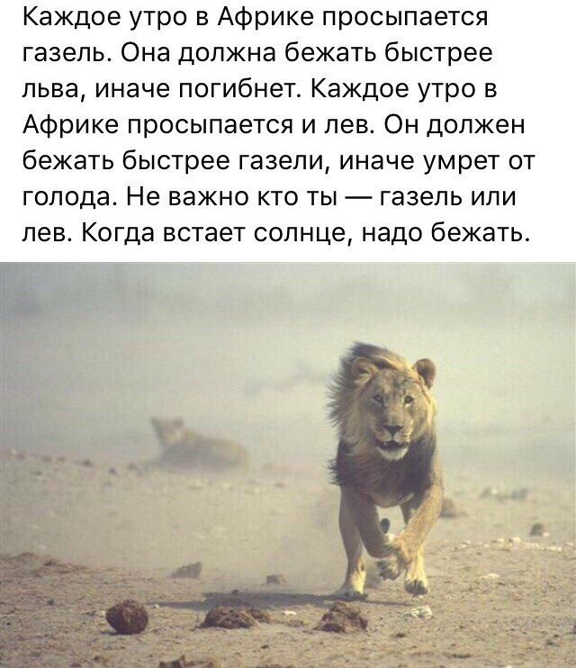 Надо бежать быстро бежать