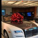 ���� Ali0505, ������, 41 ��� - ��������� 18 ������ 2017