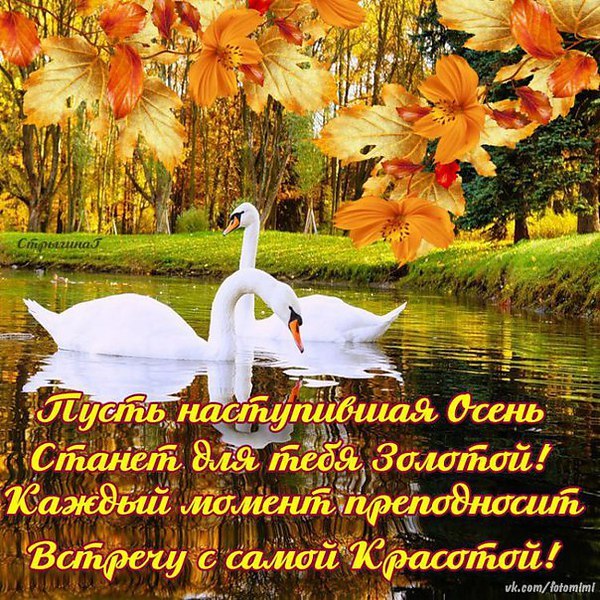 https://fotostrana.ru/away?to=/sl/Ksy5 & - 9