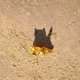 �, �������