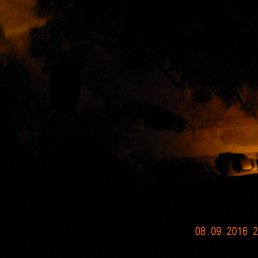 ���� ����, �����, 29 ��� - ��������� 6 ������� 2017