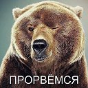 ���� �������, ����������, 48 ��� - ��������� 13 ��� 2017 � ������ ���� ����������