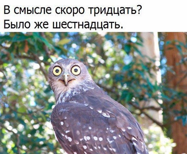 ...      :)