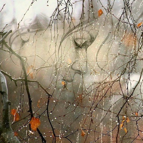  ,        ,        ...