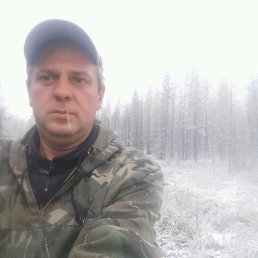 �����, ������, 46 ���