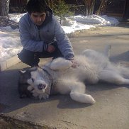 rafoqat, 40 ���, �����