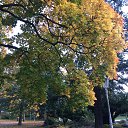  , - -  14  2017      .