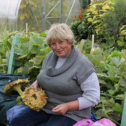 �����, ��������, 55 ���