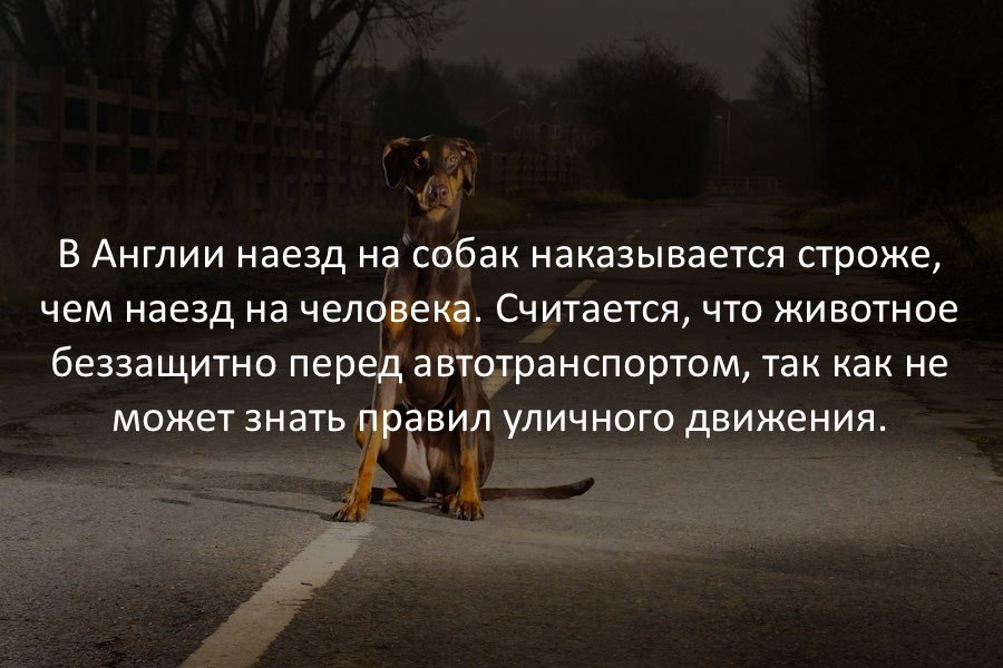   - 30  2017  17:28