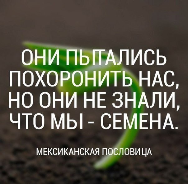   - 5  2017  22:45
