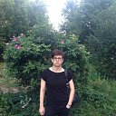  , , 40  -  23  2017   PetLove