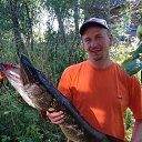 ���� ����, ������ �������� - ��������� 8 �������� 2017 � ������ ���� ����������