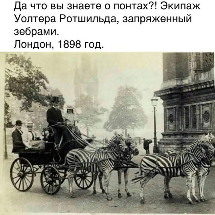 )))
