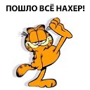 ���� ������, ������ - ��������� 8 ������� 2017 � ������ ���� ����������