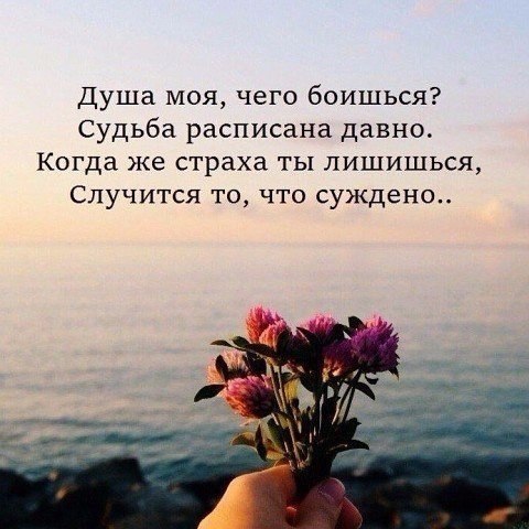  | ,  - 10  2017  14:34
