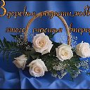 ���� ������, ������ - ��������� 15 ������ 2017 � ������ ������