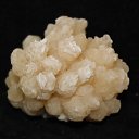 ���� ������, �����-��������� - ��������� 25 ������ 2017 � ������ �����������