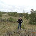 ���� ����, ������-��-����, 49 ��� - ��������� 9 ��� 2017 � ������ ���� ����������