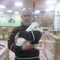 ���������, ���������, 69 ���