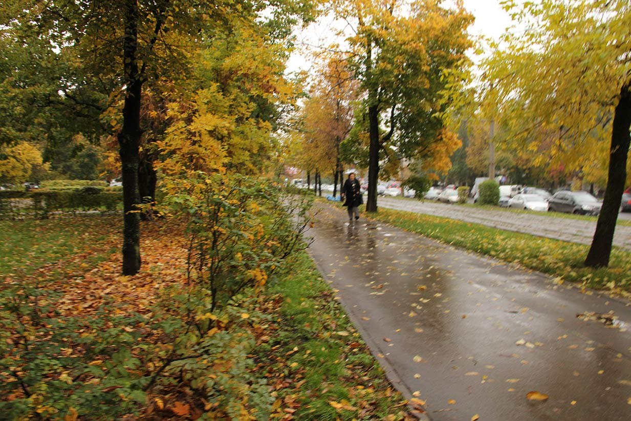 Наше время движется только вперед. Не знаю, как у вас с погодой, а у нас уже так чувствуется осень. ...