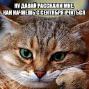 ���� Dima, �����������, 48 ��� - ��������� 12 ������� 2017 � ������ ���� ���� ������