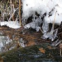 ���� ���������, ���������� - ��������� 24 ������ 2017 � ������ �23-04-17�