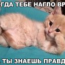 ���� �������, ������, 55 ��� - ��������� 24 ������ 2017 � ������ ���� ����������