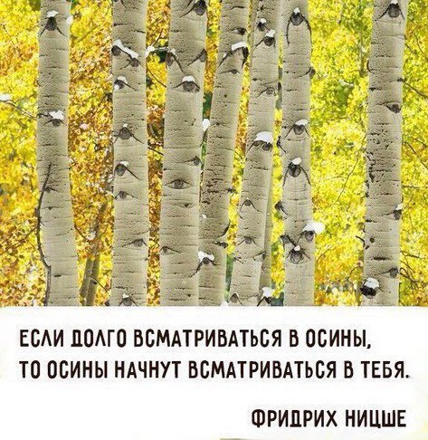   - 25  2017  23:21