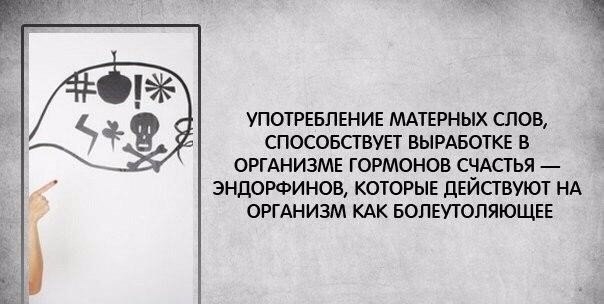   - 24  2017  20:38