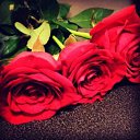 ���� �������, �����-���������, 32 ���� - ��������� 27 ��� 2017