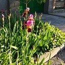  , --, 44  -  19  2017    